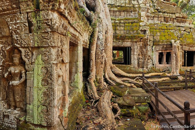 Angkor Wat Sunrise or Sunset Tour with Guide from Siem Reap - The guides are a major part of the value