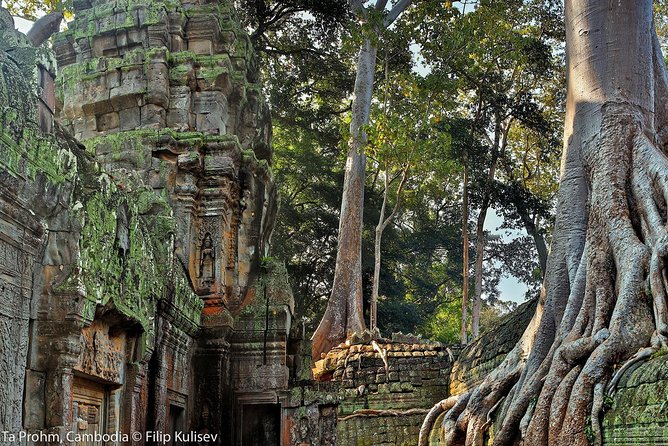Angkor Wat Sunrise or Sunset Tour with Guide from Siem Reap - Who should book this tour
