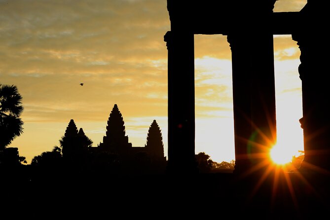 Angkor Wat Sunrise Private Full Day Tour - Ta Prohm and the famous tree roots