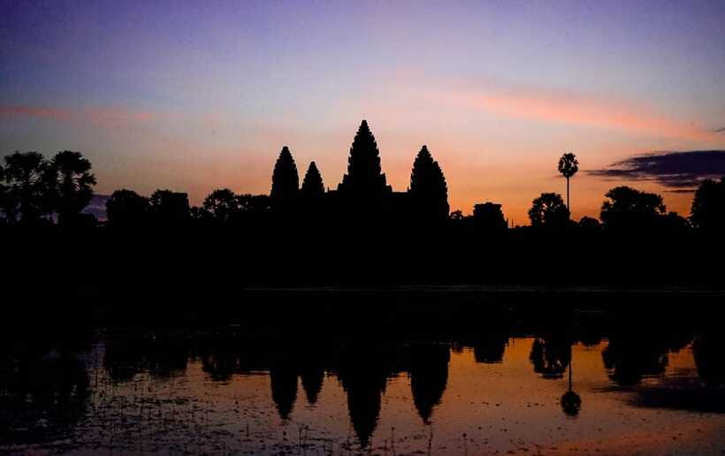 Angkor Wat Sunrise Private Tuk-Tuk Guided Tour - Ta Prohm and the power of jungle ruins