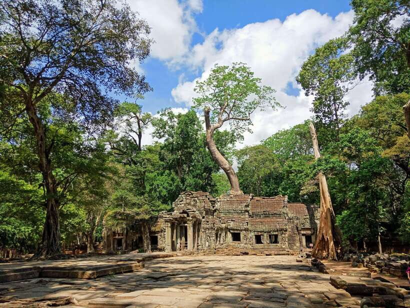 Angkor Wat Sunrise Shared Tours: Bayon-Ta Prohm-Banteay Srei - Who should book this Angkor day