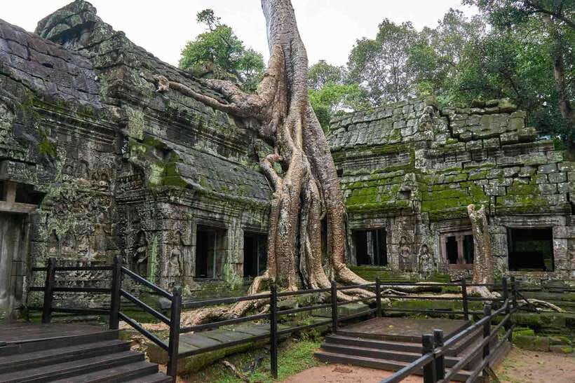 Angkor Zipline and Temple Tour with Sunset - What the Silver Course actually includes
