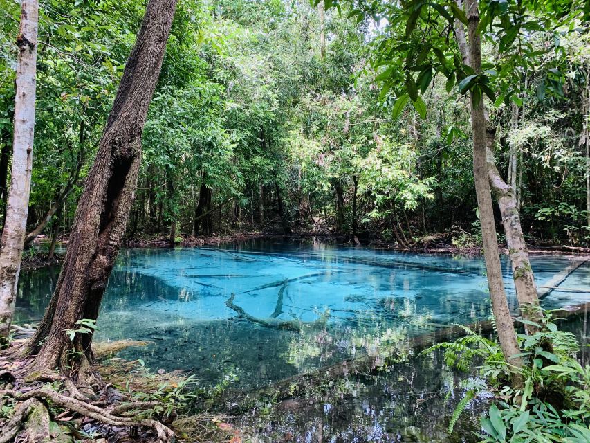 Ao Nang: Hot Spring, Emerald Pool & Tiger Cave Temple Tour - How the price works at $48