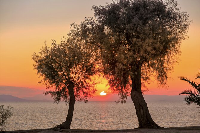 Athens Riviera: Poseidon Temple, Springs & Lake Vouliagmeni Tour - Should you book it?