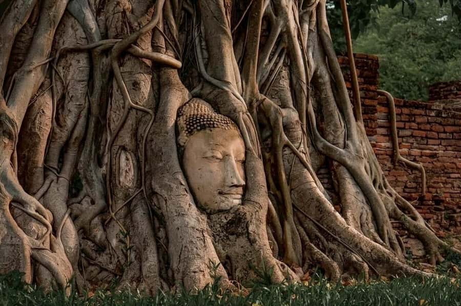Ayutthaya Private Guided Day Tour, 4 Ancient Temples - Wat Phra Si Sanphet and Ayutthaya’s royal center