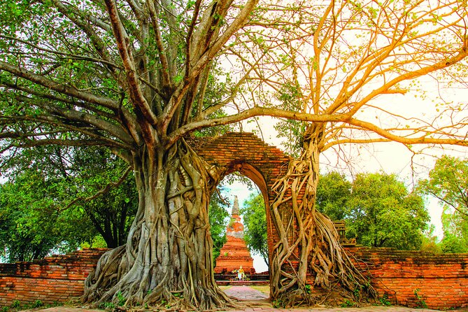 Ayutthaya Sunset Boat & UNESCO Temples: Multi-language private tour from Bangkok - Wat Phra Ngam and the time portal