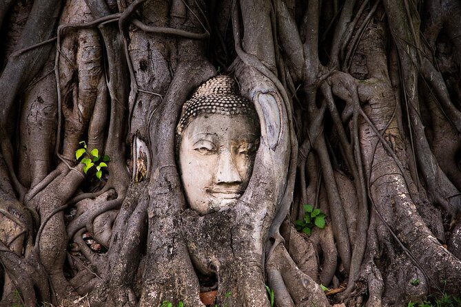 Ayutthaya Temples and River Cruise from Bangkok - Wat Mahathat and the Buddha head in the roots