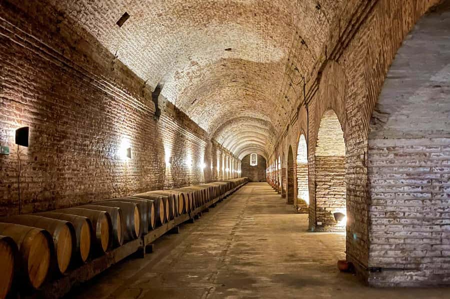 Bahá'i Temple and Cousiño Macul Vineyard - Who should book this outing?