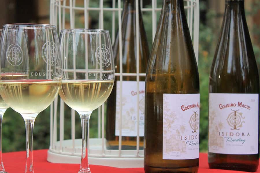 Bahá'i Temple and Cousiño Macul Vineyard - Should you book Bahá’i Temple and Cousiño Macul?