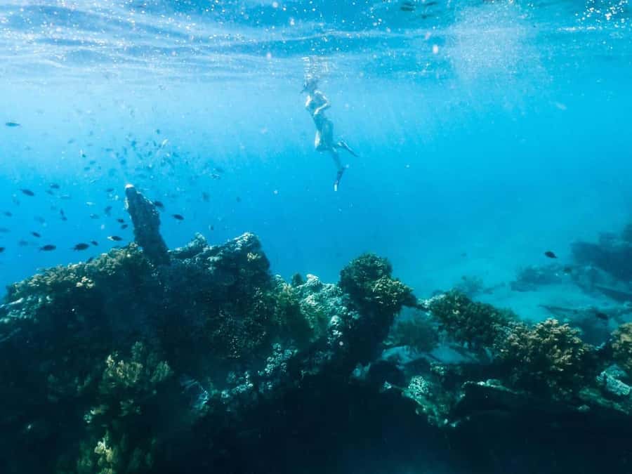 Bali/Amed: Underwater Temple Snorkeling Experience - Is $40 good value?