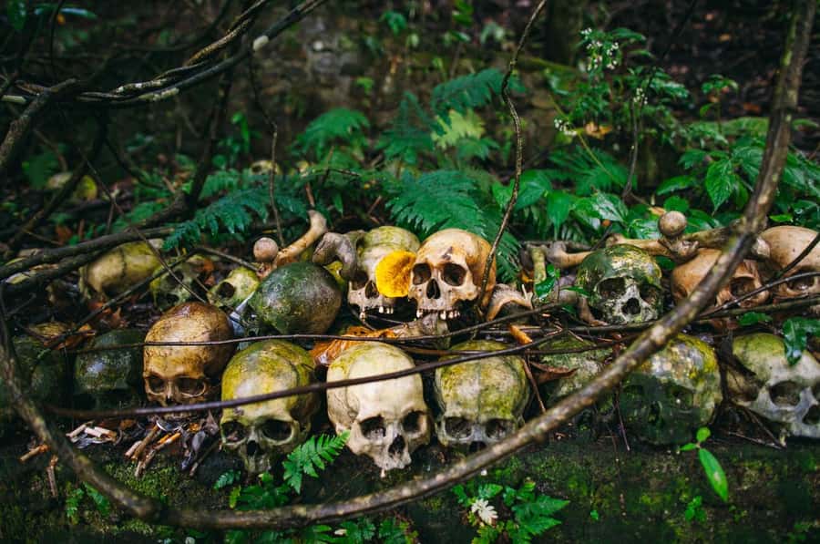 Bali/Batur: Mystical & Burial Rituals Tour with Kehen Temple - Key points to know before you book