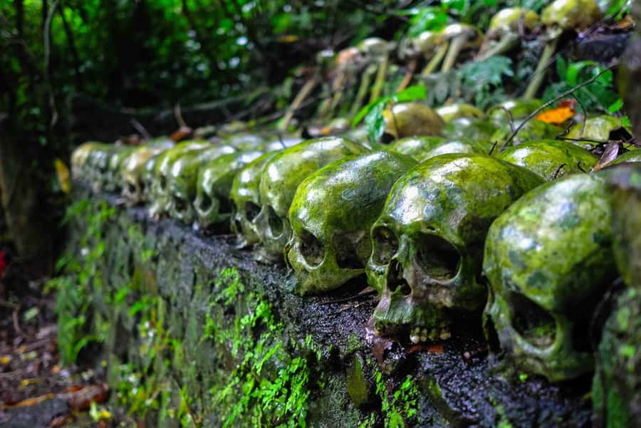 Bali/Batur: Mystical & Burial Rituals Tour with Kehen Temple - Trunyan Cemetery and the Taru Menyan tree