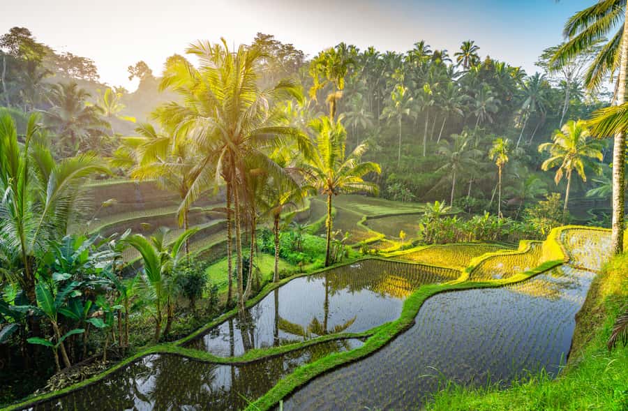 Bali: Besakih Great Temple Tour with Waterfal & Rice Terrace - Walking into Cepung Waterfall