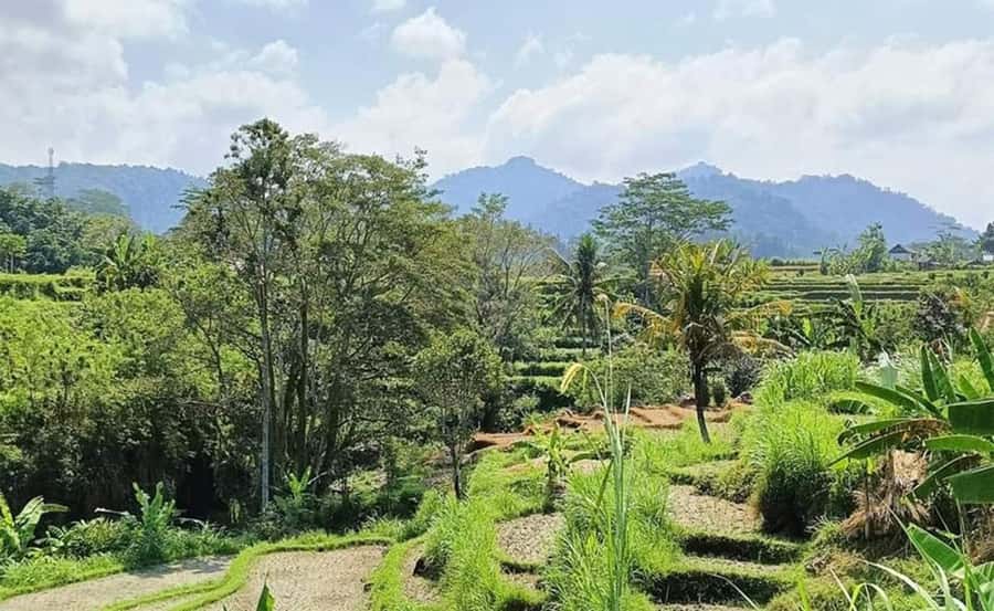 Bali: Besakih Temple and Sidemen Tour - Tegenungan Waterfall gives the day a cool finish