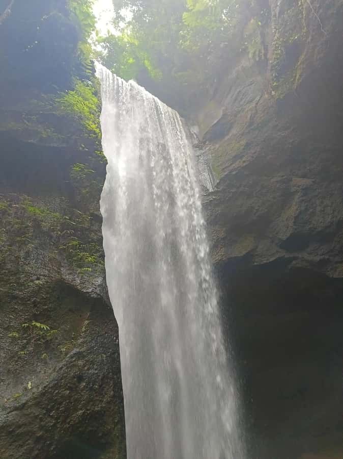 Bali : Day Trip to Besakih Temple & 2 Hidden Waterfalls - A private car helps on a long eastern Bali day
