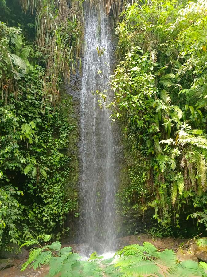 Bali : Day Trip to Besakih Temple & 2 Hidden Waterfalls - Lunch and Luwak coffee are useful extras, not guaranteed highlights