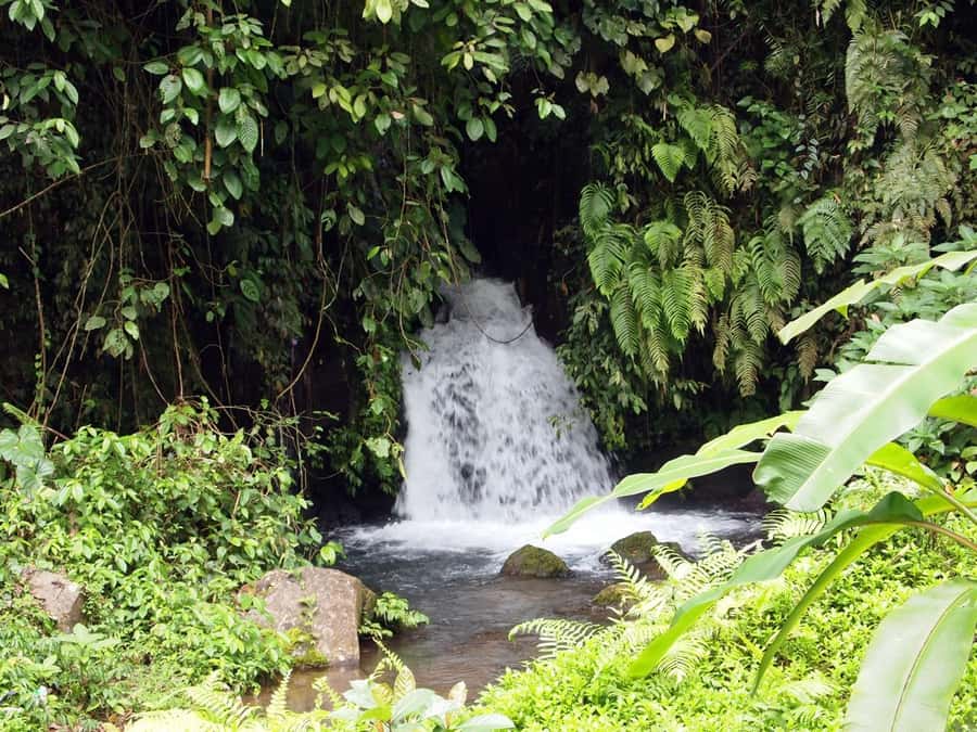 Bali: Gunung Kawi Temple & Pakerisan UNESCO Guided Tour - Who should book this temple walk?
