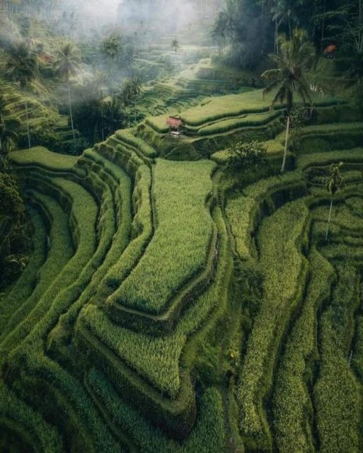 Bali : Highlight of Ubud Culture, Temple and Batur Volcano - Lunch with Batur Volcano and Lake Batur