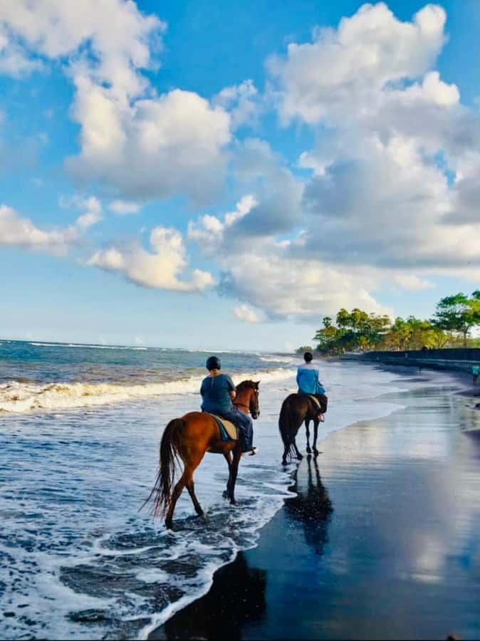Bali: Horseback Tour Through Saba Beach and Local Temples. - Getting started at Bali Horse Riding