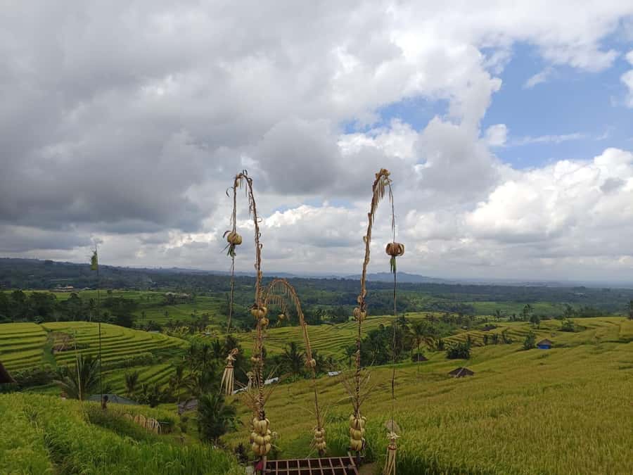 Bali in 1 Day : Iconic temples -UNESCO Sight - All inclusive - Jatiluwih Rice Terraces, the day’s biggest open view