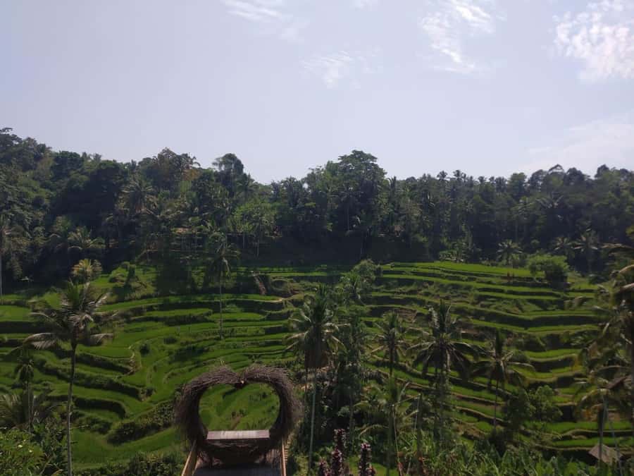 Bali in 1 Day : Iconic temples -UNESCO Sight - All inclusive - Tanah Lot and the attempt to catch sunset