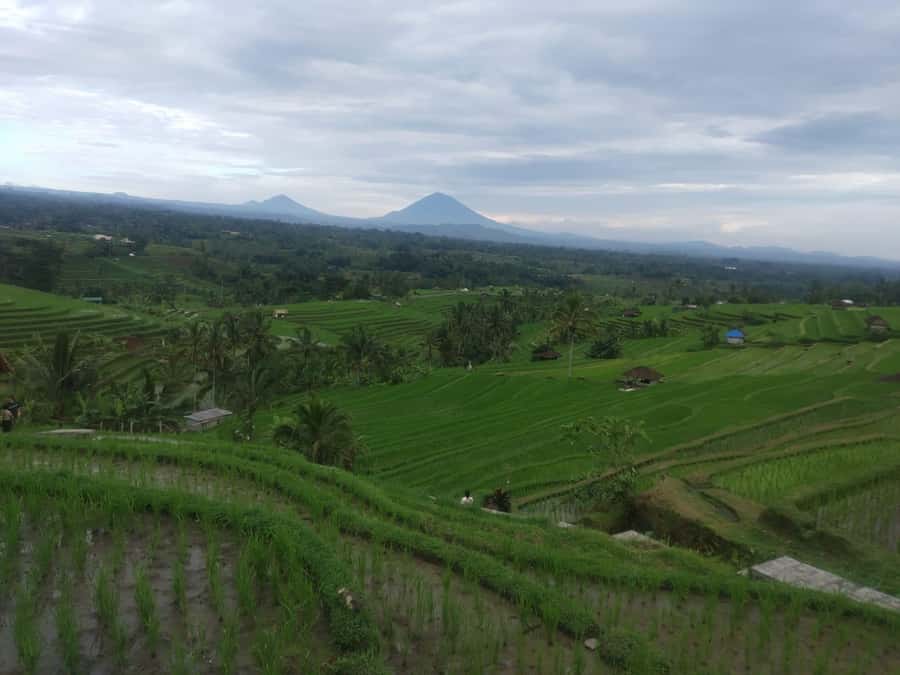 Bali in 1 Day : Iconic temples -UNESCO Sight - All inclusive - The private guide makes the difference