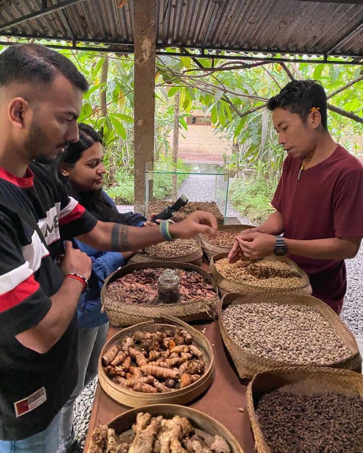 Bali: Kintamani Cafe, Waterfall, Temple and Cretya Ubud Tour - Tirta Empul and the meaning of holy water