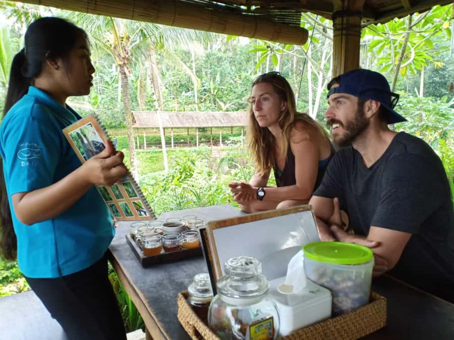 Bali: Kintamani Cafe, Waterfall, Temple and Cretya Ubud Tour - Who should book this Bali tour