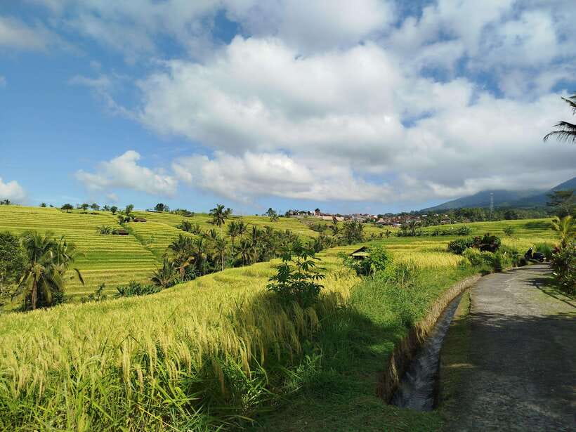 Bali: Lake Temple, Jatiluwih Rice Terrace & Waterfall Tour - Twin Lake View offers a short scenic pause