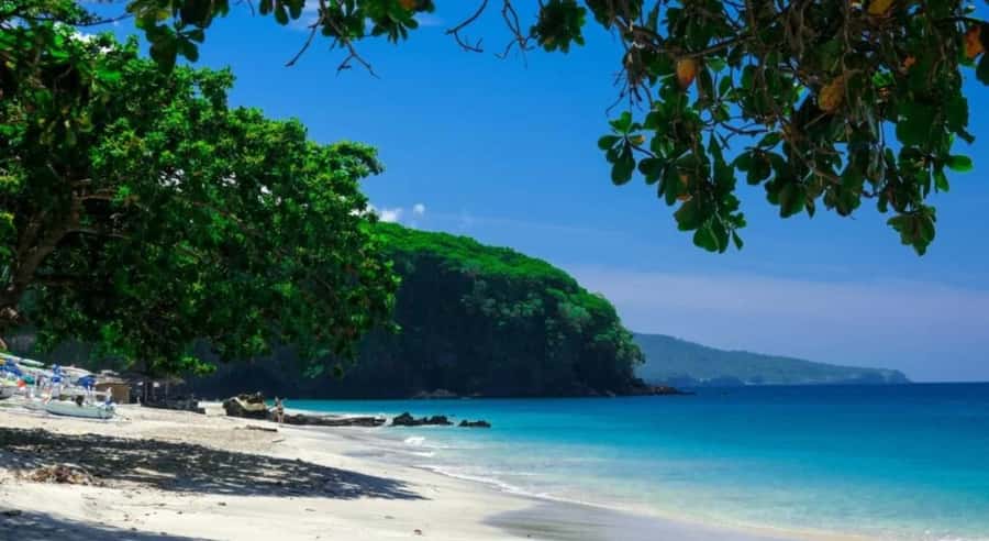 Bali: Lempuyang Temple, Tirta Gangga, and Goa Lawah Tour - Booking flexibility and practical limits