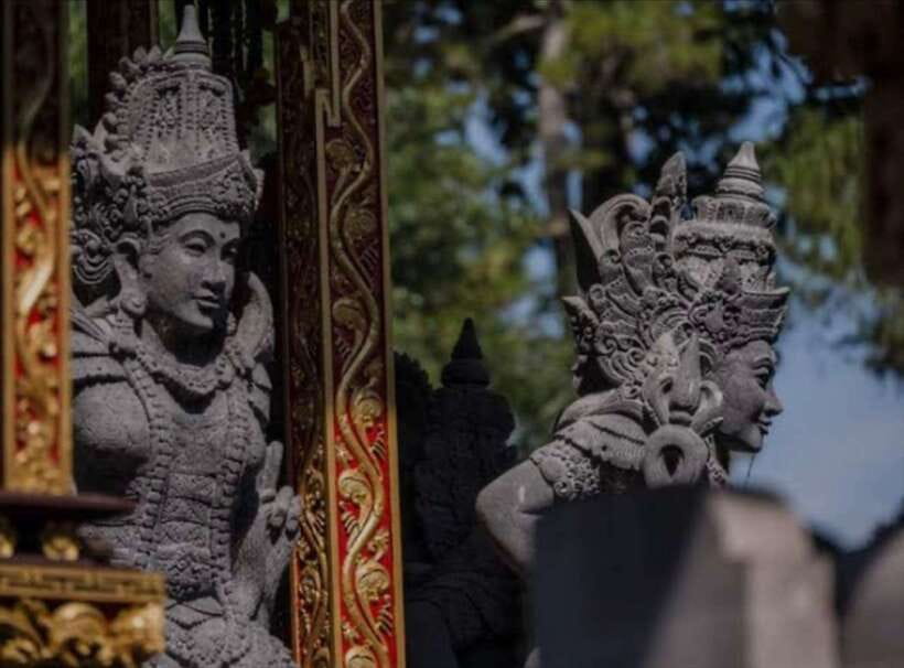 Bali: monkey forest, rice terrace, water temple, waterfall - Tegallalang Rice Terrace and the subak system