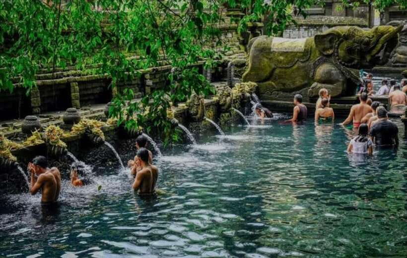 Bali: monkey forest, rice terrace, water temple, waterfall - Tirta Empul and the purification ritual