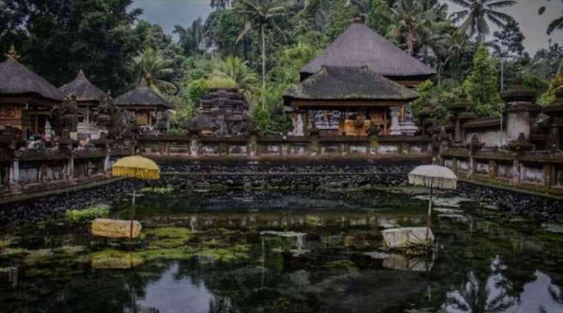 Bali: monkey forest, rice terrace, water temple, waterfall - Balinese coffee and tea made the traditional way