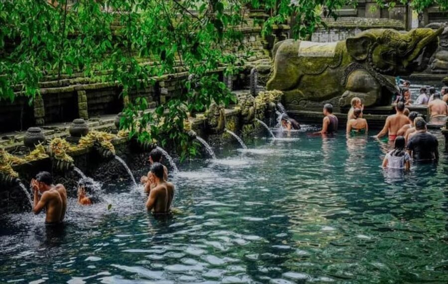 Bali: monkey forest, rice terrace, water temple, waterfall - Why the guide matters on this route