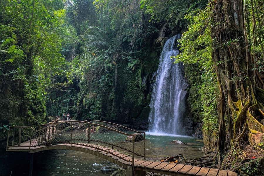 BALI :Sanctuary Monkey forest, rice terrace Water temple - Key points at a glance