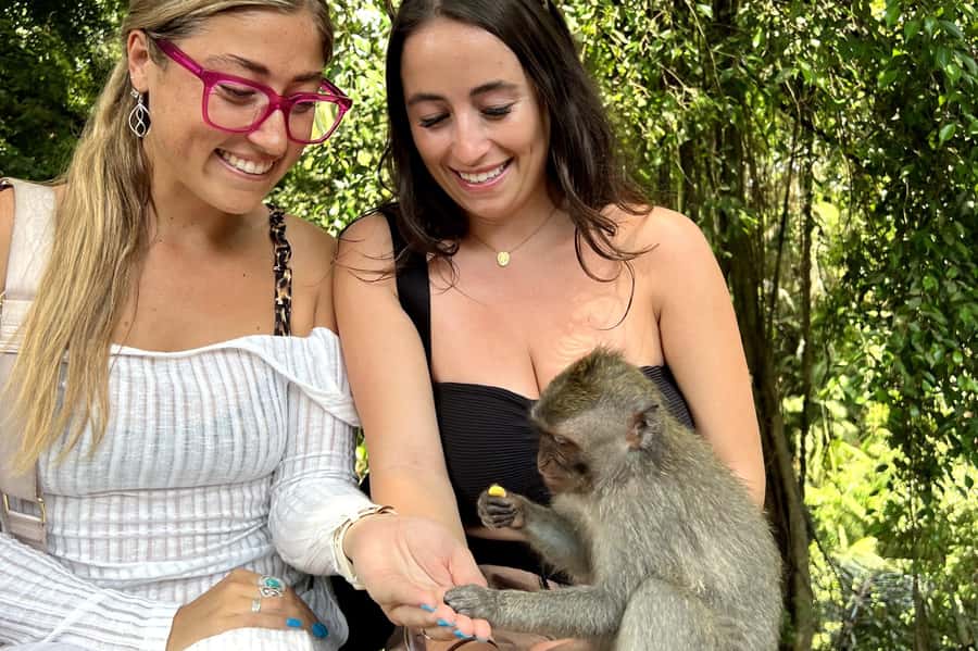 BALI :Sanctuary Monkey forest, rice terrace Water temple - Why this Ubud day works well