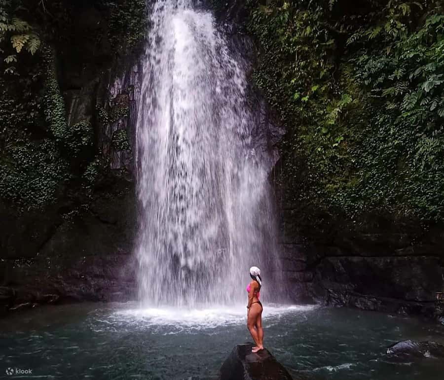 BALI :Sanctuary Monkey forest, rice terrace Water temple - Is $19 good value?