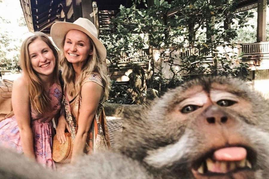 BALI :Sanctuary Monkey forest, rice terrace Water temple - Sacred Monkey Forest: Bali wildlife with rules