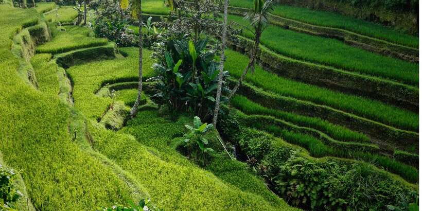 Bali: Secret Garden, Ulun Danu Temple and Waterfall Tour - Should you book this Bali tour?