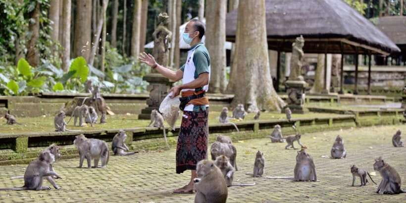 Bali Secret Waterfalls with Ulun Danu Beratan Temple Tour - Four sides of Bali in one long day