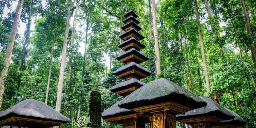 Bali Secret Waterfalls with Ulun Danu Beratan Temple Tour - Jatiluwih Rice Terrace and the working countryside
