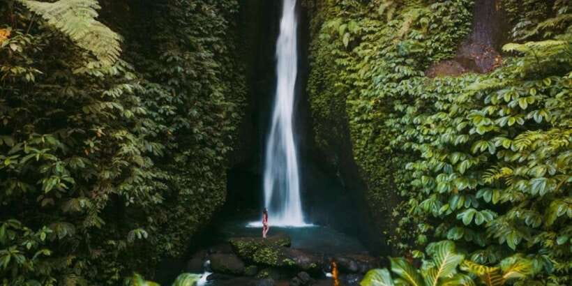 Bali Secret Waterfalls with Ulun Danu Beratan Temple Tour - Sangeh Monkey Forest and its macaque residents