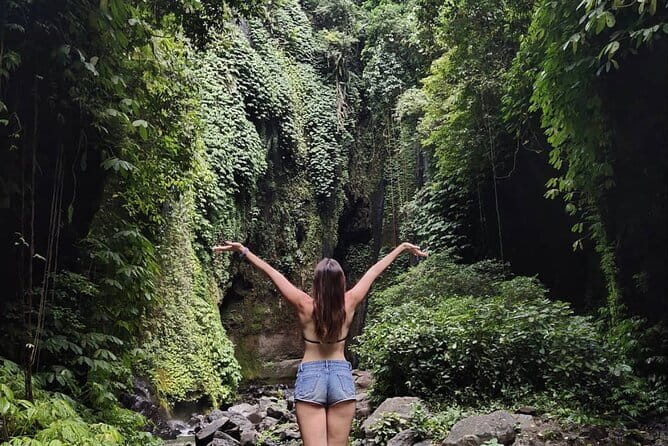 Bali Sekumpul with Fiji Waterfall & Bedugul Temple (Private Tour) - Who will enjoy this private day