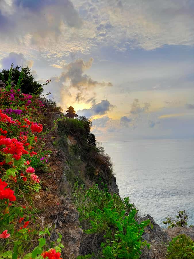 Bali: South Kuta, GWK, Uluwatu Temple, and Water Sport - A short stop for luwak coffee