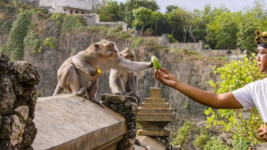 Bali: Sunset Uluwatu Temple & Kecak Fire Dance Private Tour - Finding the right seat and handling the crowd