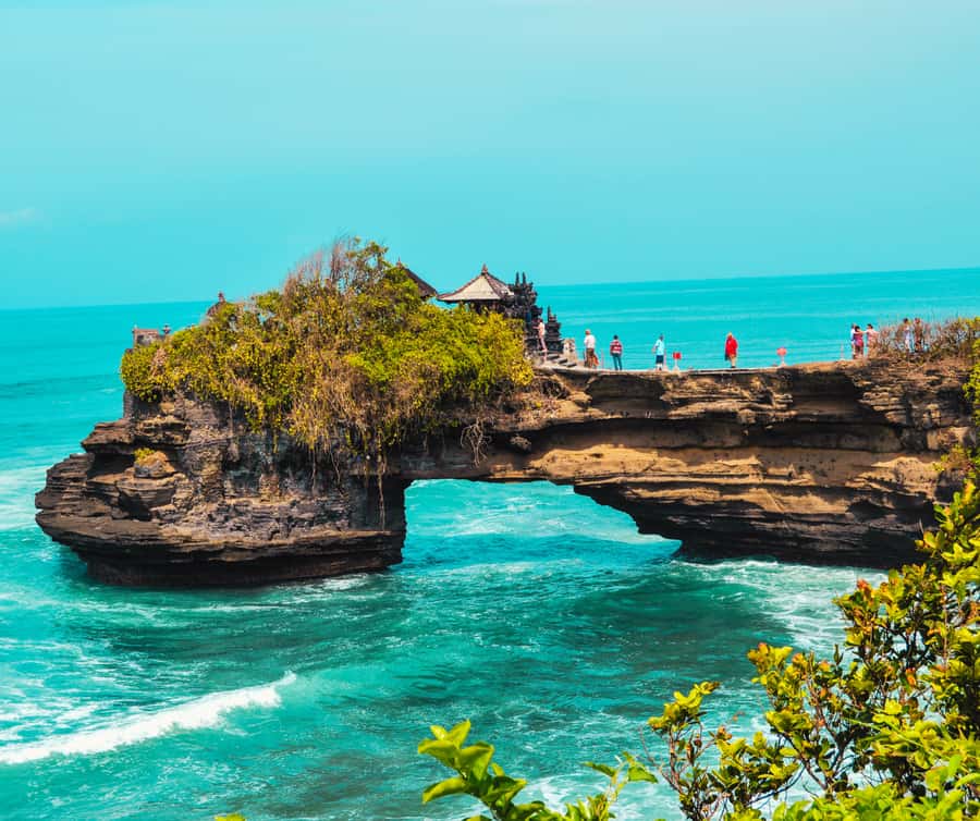 Bali: Tanah Lot, Rice Terrace, Ulun Danu & taman ayun temple - Key points to know before booking