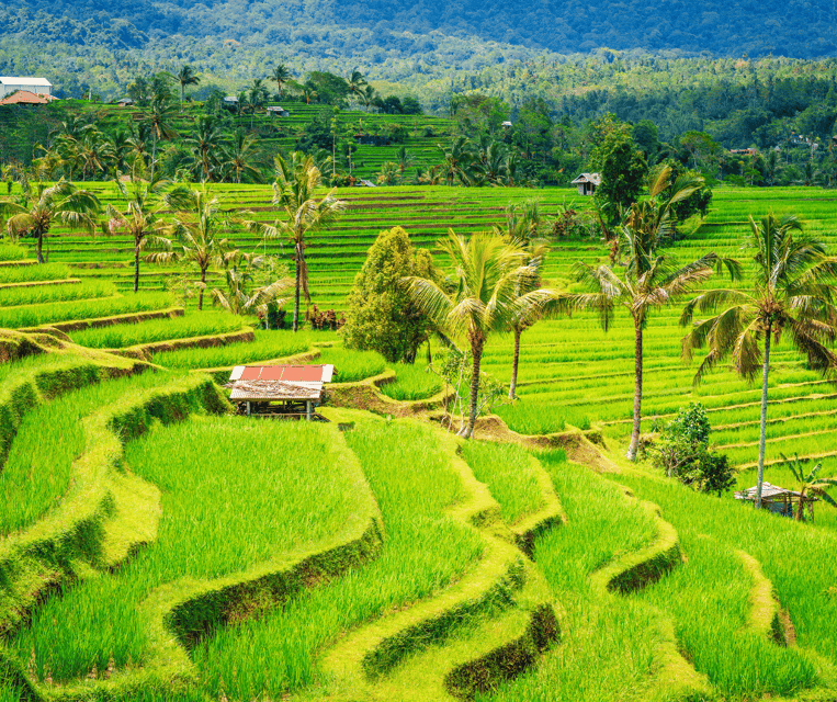 Bali: Tanah Lot, Rice Terrace, Ulun Danu & taman ayun temple - Pickup, driving, and the 10-hour clock