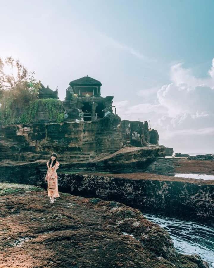 Bali : Tanah Lot Temple Tour with Sunset Dinner - Meeting the monkeys at Alas Kedaton