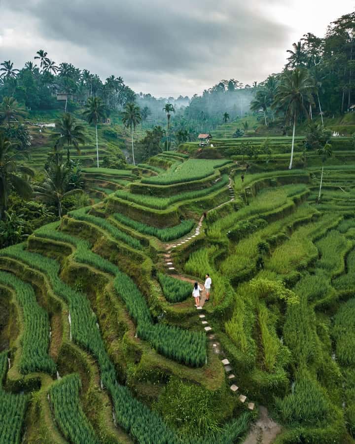 Bali: Temples, waterfall, and Rice Terrace Guided Tour - Getting ready for ten hours on the road