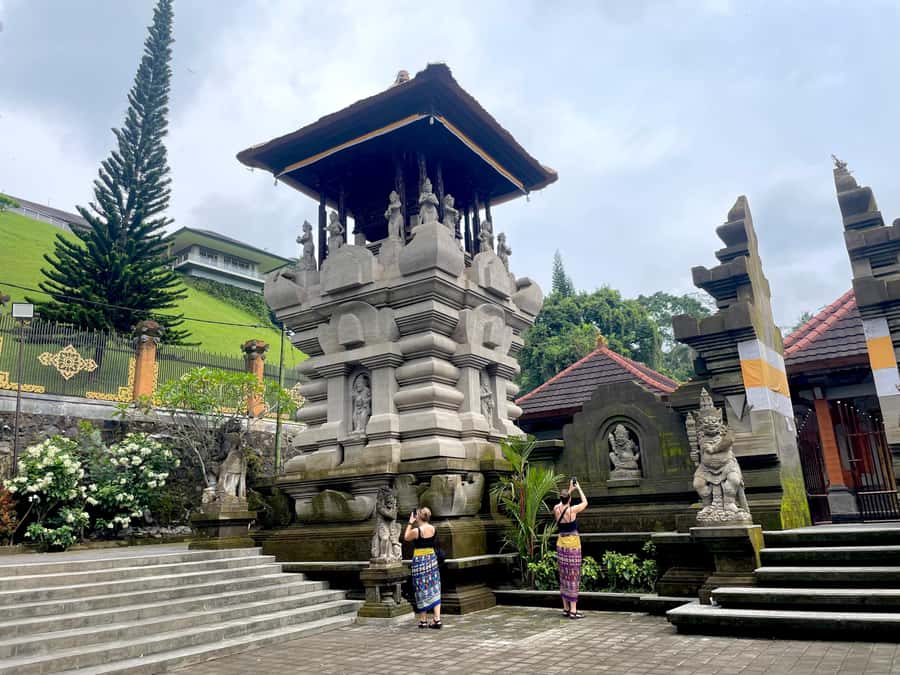 Bali: Tirta empul Temple, Rice terrace and Waterfall - A full Ubud day without the usual guesswork